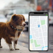 Traceur GPS anti-perte pour animaux de compagnie, dispositif de suivi GPS étanche, traqueur d'activité intelligent pour chiens, chats