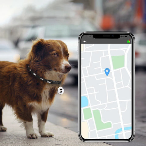 Traceur GPS anti-perte pour animaux de compagnie, dispositif de suivi GPS étanche, traqueur d'activité intelligent pour chiens, chats