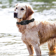 Collier de dressage pour chien 1000 m, GPS électrique, clôture sans fil, IPX7, étanche, électronique, pour chiens de petite, moyenne et grande taille