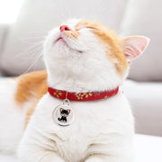 Traceur GPS anti-perte pour animaux de compagnie, dispositif de suivi GPS étanche, traqueur d'activité intelligent pour chiens, chats