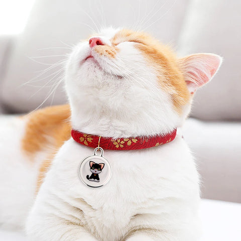 Traceur GPS anti-perte pour animaux de compagnie, dispositif de suivi GPS étanche, traqueur d'activité intelligent pour chiens, chats