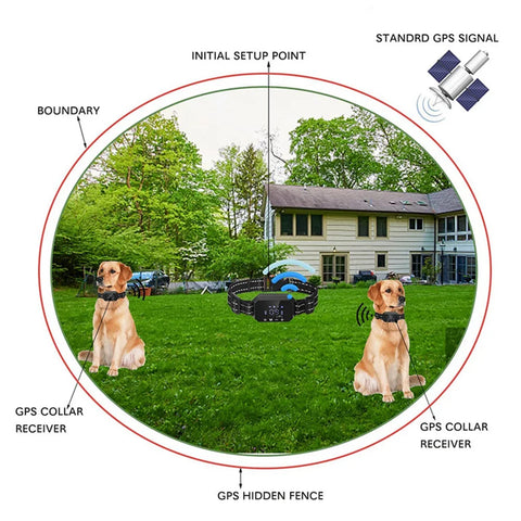 Collier de dressage pour chien 1000 m, GPS électrique, clôture sans fil, IPX7, étanche, électronique, pour chiens de petite, moyenne et grande taille