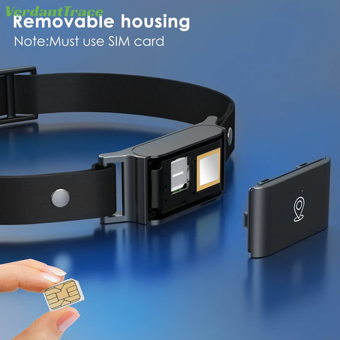 Collier intelligent 4G GPS pour animaux de compagnie, pour chiens et chats, localisation GPS Wi-Fi en temps réel, étanchéité IP67, surveillance d'activité