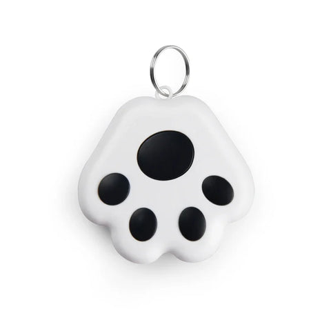 Mini traceur GPS anti-perte pour chiens, chats