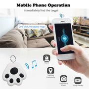 Traceur GPS pour animaux de compagnie, chien, chat