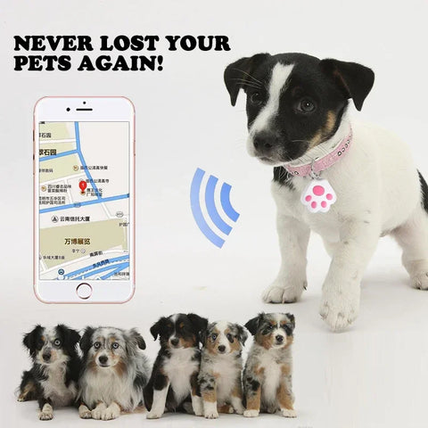 Mini traceur GPS anti-perte pour chiens, chats