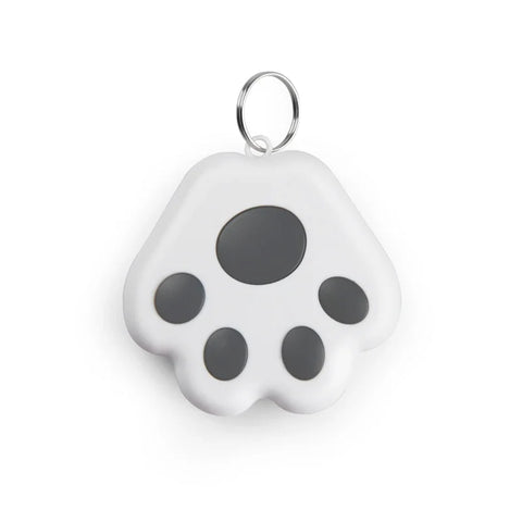 Mini traceur GPS anti-perte pour chiens, chats