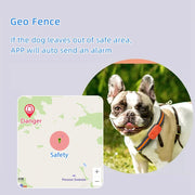 Traceur GPS G51 2/4G étanche, anti-perte, collier intelligent, recherche d'appareil, télécommande, application pour chien