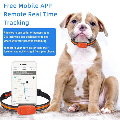 Traceur GPS G51 2/4G étanche, anti-perte, collier intelligent, recherche d'appareil, télécommande, application pour chien