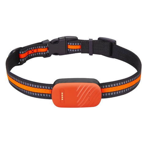 Traceur GPS G51 2/4G étanche, anti-perte, collier intelligent, recherche d'appareil, télécommande, application pour chien