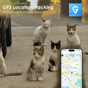 Collier intelligent 4G GPS pour animaux de compagnie, pour chiens et chats, localisation GPS Wi-Fi en temps réel, étanchéité IP67, surveillance d'activité