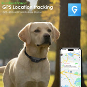Collier intelligent 4G GPS pour animaux de compagnie, pour chiens et chats, localisation GPS Wi-Fi en temps réel, étanchéité IP67, surveillance d'activité