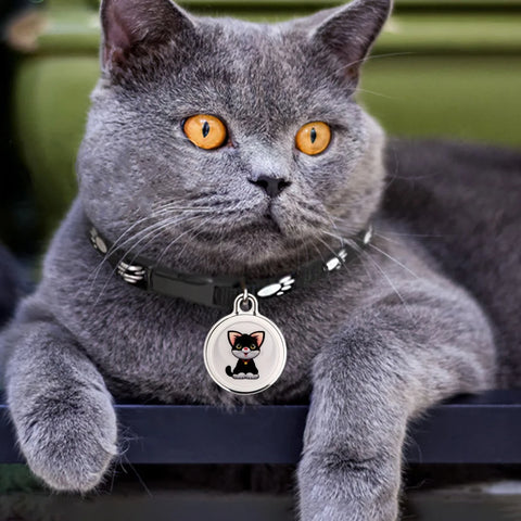 Traceur GPS anti-perte pour animaux de compagnie, dispositif de suivi GPS étanche, traqueur d'activité intelligent pour chiens, chats
