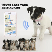 Mini traceur GPS anti-perte pour chiens, chats