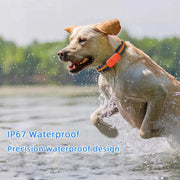 Traceur GPS G51 2/4G étanche, anti-perte, collier intelligent, recherche d'appareil, télécommande, application pour chien