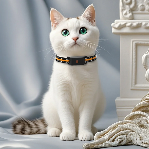 Collier de suivi GPS anti-perte 4G pour animaux, étanche IP67, localisateur en temps réel pour chien, chat