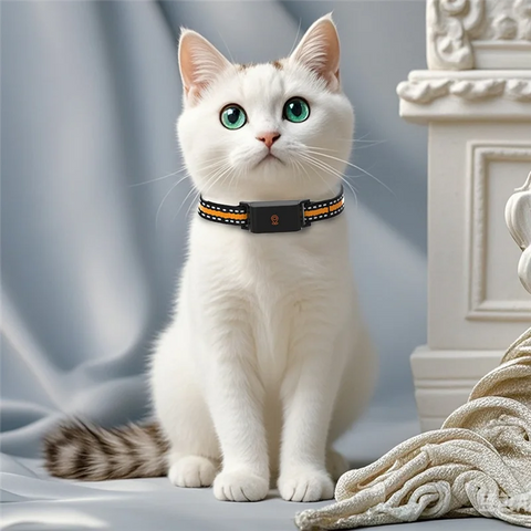 Collier de suivi GPS anti-perte 4G pour animaux, étanche IP67, localisateur en temps réel pour chien, chat