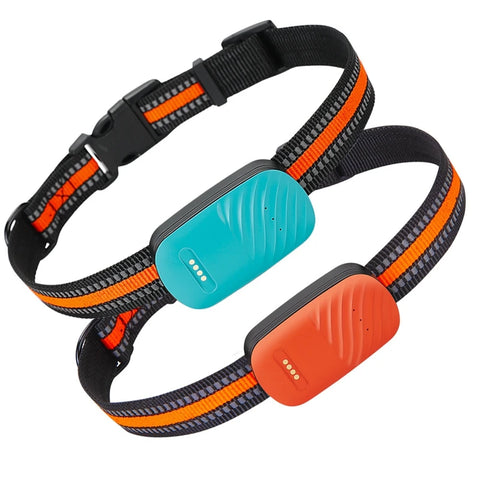Traceur GPS G51 2/4G étanche, anti-perte, collier intelligent, recherche d'appareil, télécommande, application pour chien