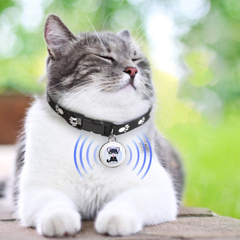 Traceur GPS anti-perte pour animaux de compagnie, dispositif de suivi GPS étanche, traqueur d'activité intelligent pour chiens, chats